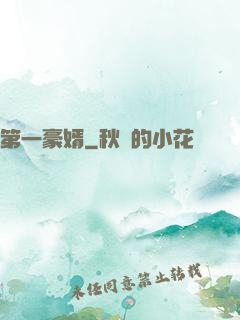 第一豪婿