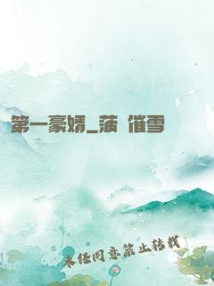第一豪婿