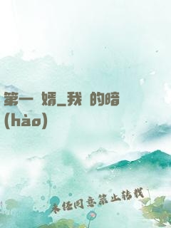 第一贅婿