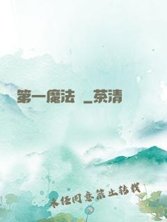 第一魔法師