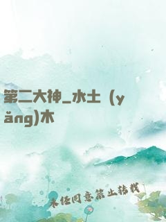 第二大神