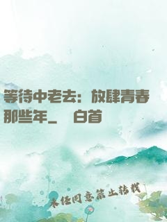 等待中老去：放肆青春那些年