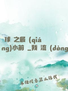 籃球夢之最強(qiáng)小前鋒