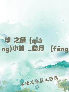籃球夢之最強(qiáng)小前鋒