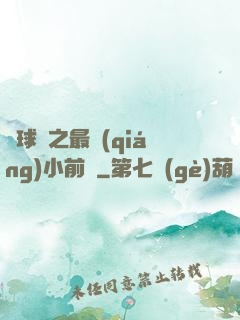 籃球夢之最強(qiáng)小前鋒