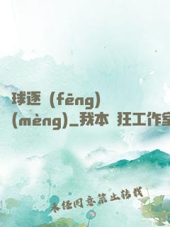 籃球逐風(fēng)夢(mèng)