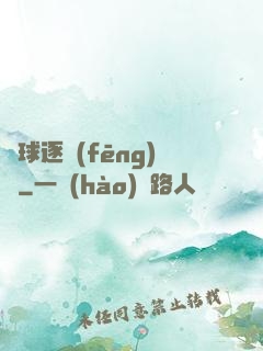 籃球逐風(fēng)夢