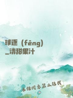 籃球逐風(fēng)夢