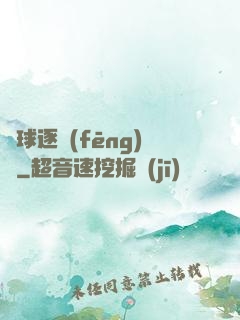 籃球逐風(fēng)夢