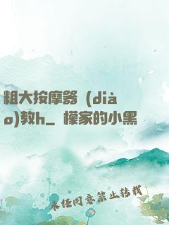 粗大按摩器調(diào)教h