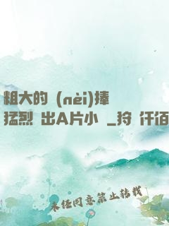 粗大的內(nèi)捧猛烈進出A片小說