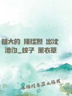 粗大的內捧猛烈進出沈塊池汐