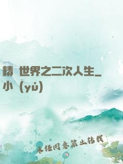 精靈世界之二次人生