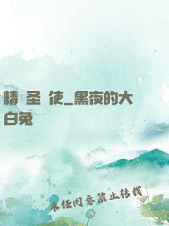 精靈圣劍使