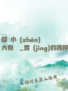 精靈小鎮(zhèn)大有問題