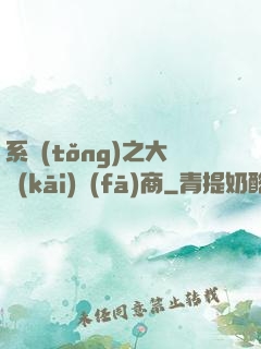 系統(tǒng)之大開(kāi)發(fā)商