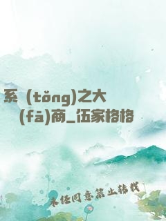 系統(tǒng)之大開發(fā)商