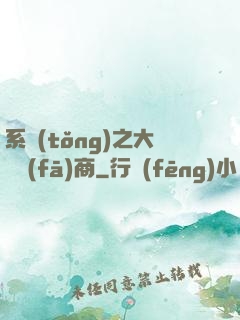 系統(tǒng)之大開發(fā)商