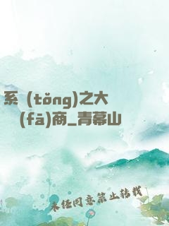 系統(tǒng)之大開發(fā)商
