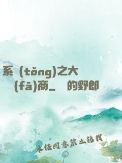 系統(tǒng)之大開發(fā)商