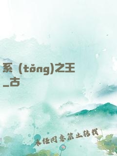 系統(tǒng)之王