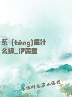 系統(tǒng)是什么桶