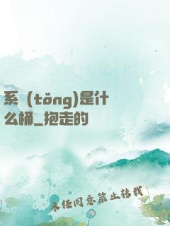 系統(tǒng)是什么桶