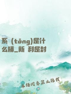 系統(tǒng)是什么桶