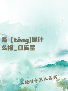 系統(tǒng)是什么桶