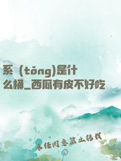系統(tǒng)是什么桶