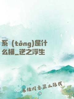 系統(tǒng)是什么桶