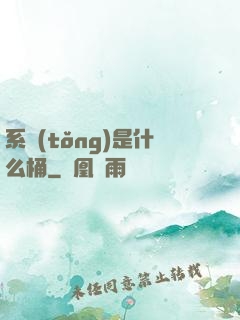 系統(tǒng)是什么桶