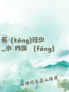 系統(tǒng)狂少