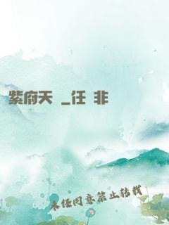 紫府天書