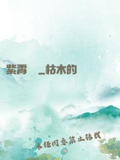 紫霄劍靈