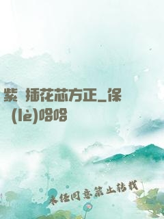 紫龍插花芯方正