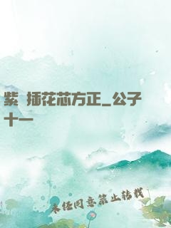 紫龍插花芯方正