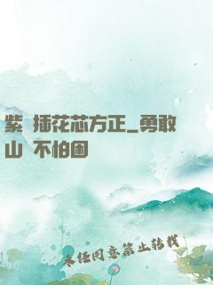 紫龍插花芯方正