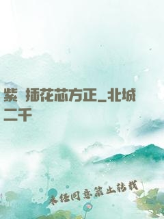 紫龍插花芯方正