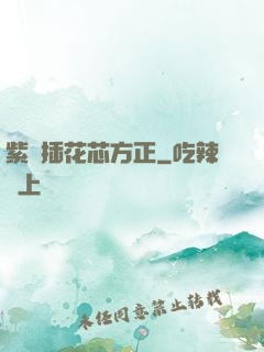 紫龍插花芯方正