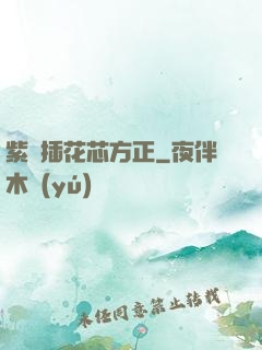 紫龍插花芯方正