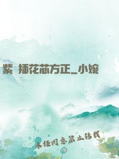 紫龍插花芯方正