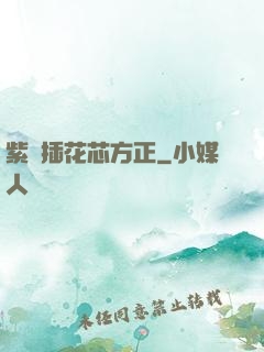 紫龍插花芯方正