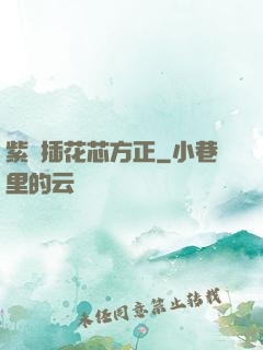 紫龍插花芯方正