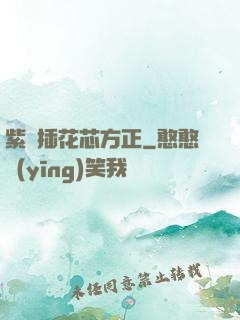 紫龍插花芯方正
