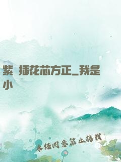 紫龍插花芯方正