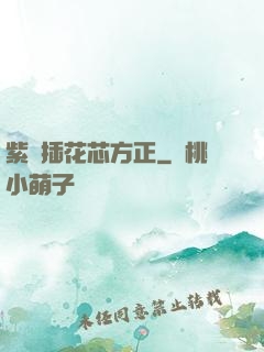 紫龍插花芯方正