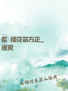 紫龍插花芯方正