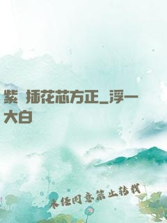 紫龍插花芯方正