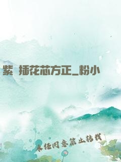紫龍插花芯方正